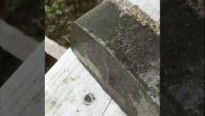 Испытание плитки на водопоглощение