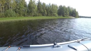 Лучший воблер на щуку , Rapala Husky jerk