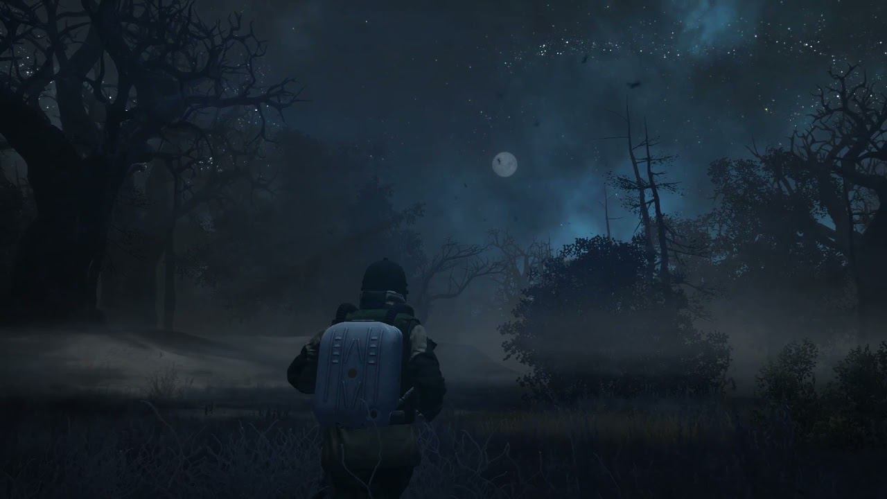 Stalker Online - Черный Лес. Тизер. // Black Forest. Teaser