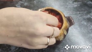 Жаркое в горшочках в духовке / свинина в горшочках / мясо запечённое с овощами в духовке