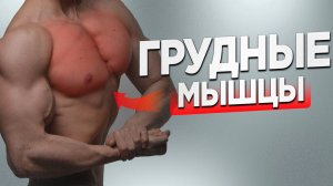 Накачка больших грудных мышц