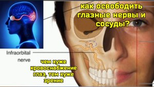 Зажим подглазничного нерва не дает жить глазам, мозгу, деснам и зубам. Методы снятия компрессии
