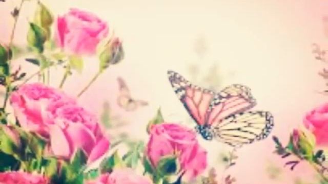 Бабочки (берегите природу) смотреть онлайн