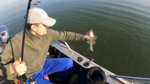 Золотой осенний Судак Матырского водохранилища