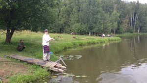 Поимка и отпускание карпа на 5кг 200гр. в Коротыгино
