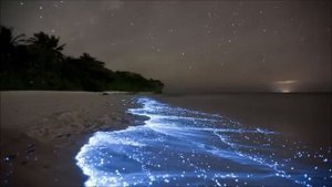 Lisa Gerrard  -The Sea Whisperer