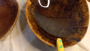 Посуда из дерева , Клён Явор