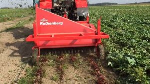 Ruthenberg, Ботвоудалитель с резиновыми бичами HKS1500 L