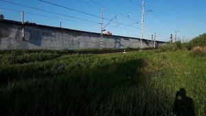Движение поездов на перегоне Санкт-Петербург Ладожский вокзал - 5 км 17.08.2020