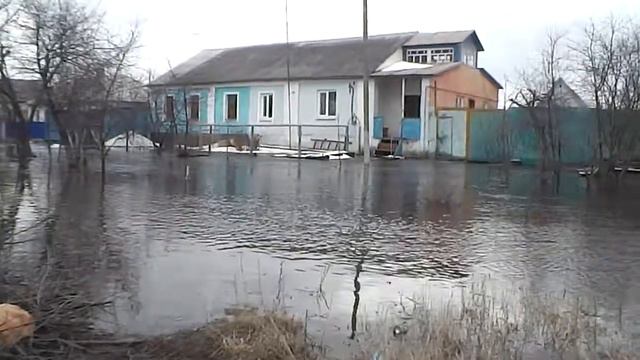 новая усмань потоп смотреть онлайн