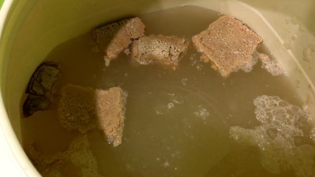 Pakmaya Cristal не справились со своей задачей