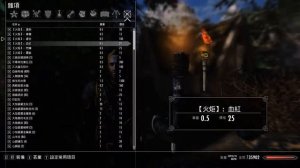 多樣化的火炬-Skyrim Special Edition Mod-Torch Varieties SE