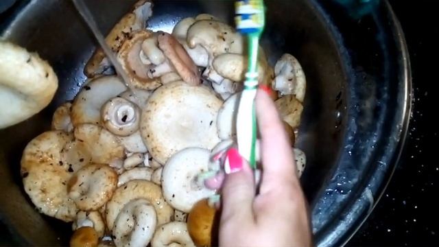 Белый груздь. Чистка смотреть онлайн