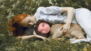 Алень / Благородный Алень / КОРОЛЕВСКИЙ АЛЕНЬ / ПРОЗРЕНИЕ АЛЕНЯ