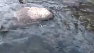 Анекдоты про рыбалку,  часть 2/ Jokes about fishing.