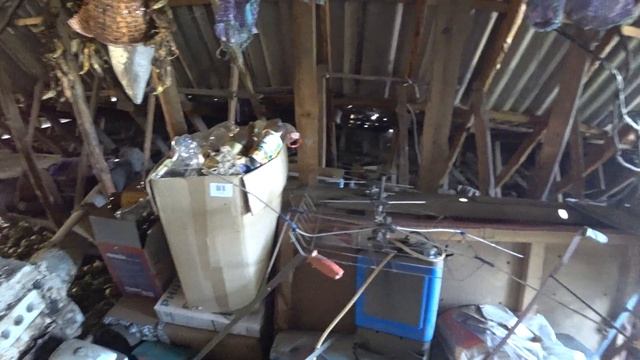 Ніколи не займалися а вона взяла і виросла (Цибуля) смотреть онлайн