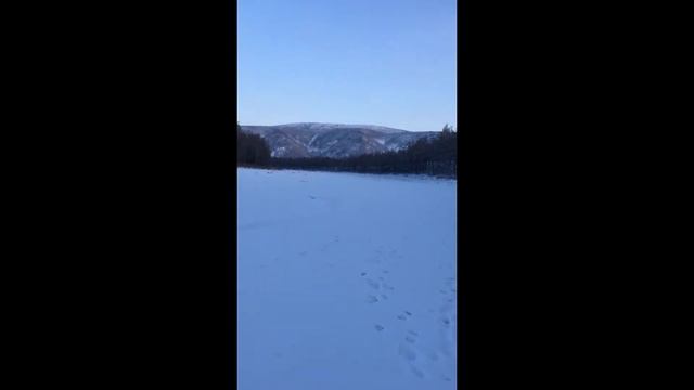 596. 25.01.21г. Пошли кататься на плюшке на речку. смотреть онлайн