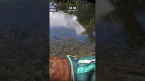 Баг в Far Cry 4 - Обезьянки под водой