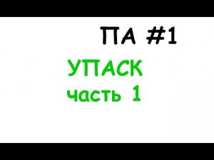 па1