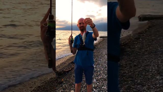 Рыбалка в Абхазии. Спиннинг в Гагре. Рокфишинг на черном море. #shorts