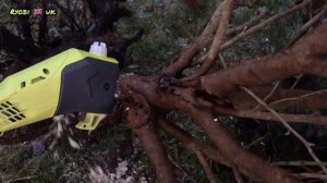 Ryobi one+ extending pole saw / mini chainsaw, model opp1820, taking a look at it with ryobi uk