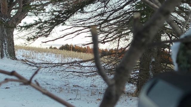 AEA hp max 357 first  deer