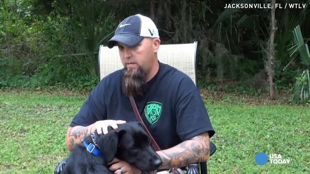 Watch service dog calm war vet's PTSD reaction