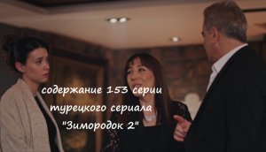 Содержание 153 серии турецкого сериала "Зимородок 2" (РФ, 2023)