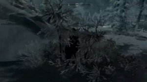 Skyrim.exe has stopped working