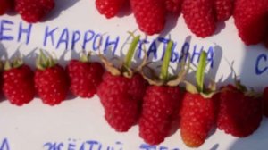 Малина Татьяна