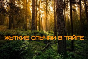 Жуткие встречи в тайге