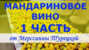 Вино из мандаринов. Часть № 1. Эксклюзив. Виноделие в Турции. Способ приготовления домашнего вина.