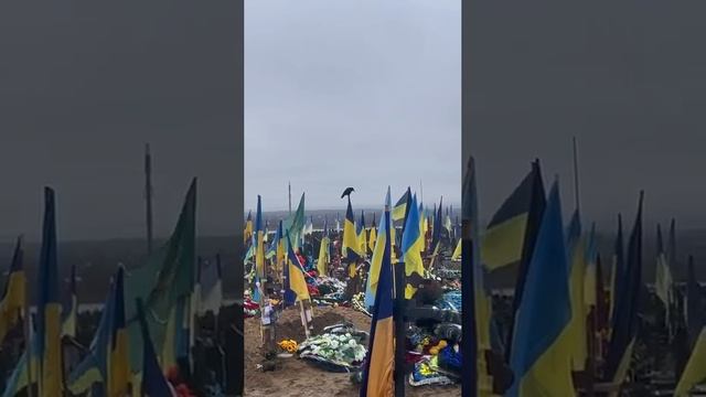 Кладбище во Львовской области, +8.000 могил за неделю, везли с Херсонского направления..mp4