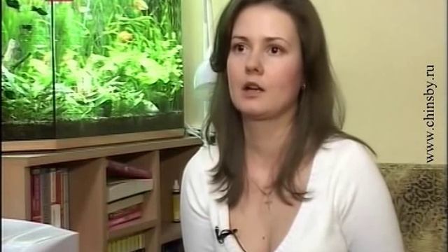 О шиншиллах на 8 канале (Беларусь) смотреть онлайн