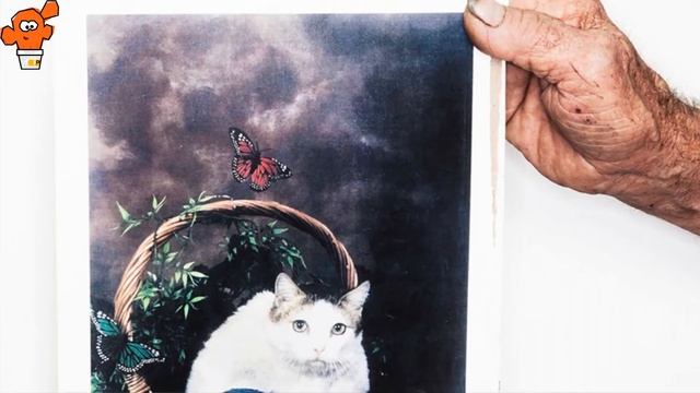 18 самых интересных фактов о кошках смотреть онлайн