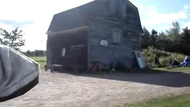 zoo pitbull. trials смотреть онлайн