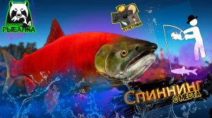 РР4/ рыбалка для души, ловим как универсал, общаемся 1.03.23
