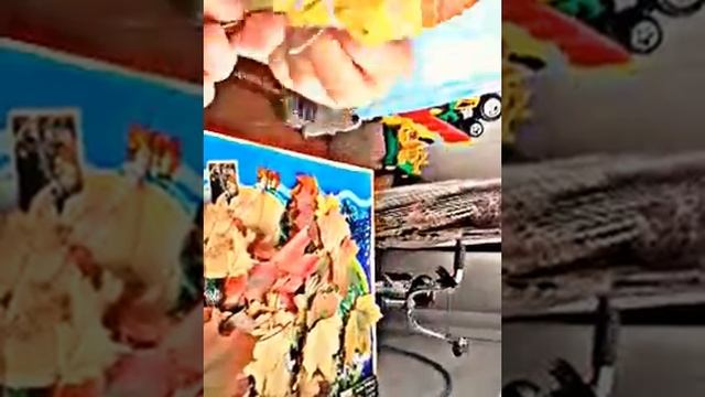 как сделать букет из листьев! Свами Настя и Оля. смотреть онлайн