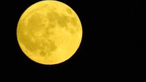 Время Оборотней Страшное Полнолуние