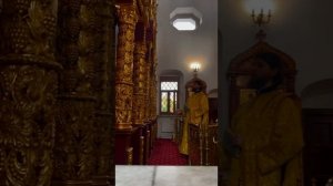 Чеснейшую Херувим и славнейшую без сравнения Серафим...