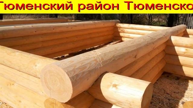Лес пиловочник на корню Тюмень