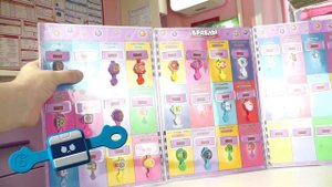 Вся коллекция Бравлов из Пятерочки в Альбоме для хранения Бравлов