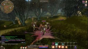 Рыцарь в игре R2 Online, reign of revolution.