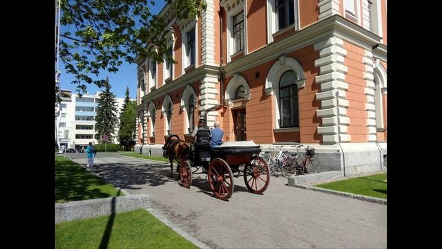 Итоги конкурса "Лошади и пони" смотреть онлайн