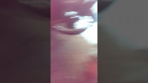 Подключаем реле поворотов !