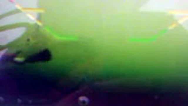 Новое применение камеры заднего вида автомобиля. смотреть онлайн