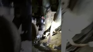 Инжектор на Мерседес отчёт по установке Январь 5.1