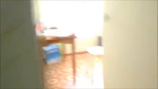 БЕШЕНЫЕ ПТИЦЫ  СВОЛОЧИ ШУСТРЫЕ