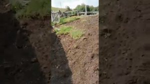 Переезд на Алтай. Деревня. Дом с участком. Осмотр территории.