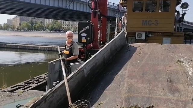 Водоросли, бутылки и воздушный шарик: плавающий мусор убрали из Москвы-реки смотреть онлайн